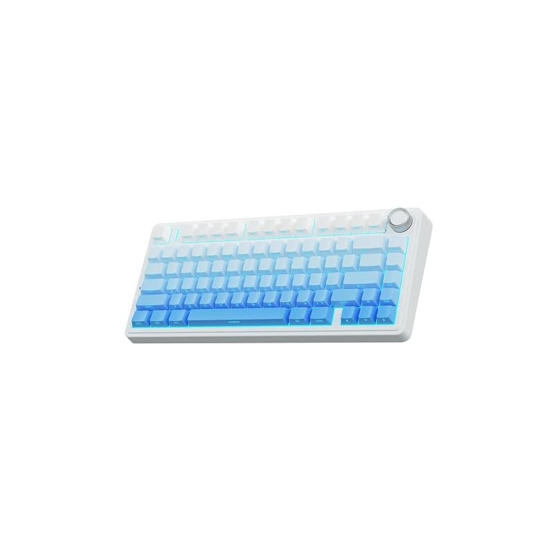 Aula F75 - Gradient Blue, LEOBOG Reaper Switch