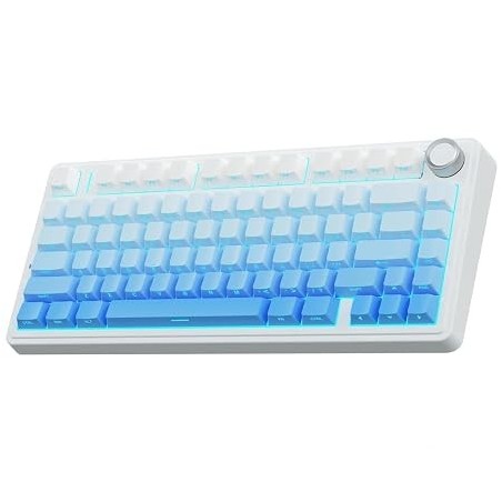 Aula F75 - Gradient Blue, LEOBOG Reaper Switch