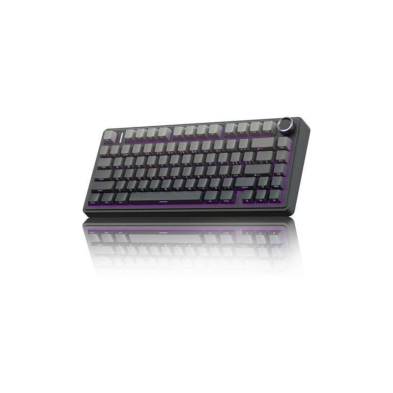 Aula F75 - Degradado de Negro, LEOBOG Reaper Switch | All In GT