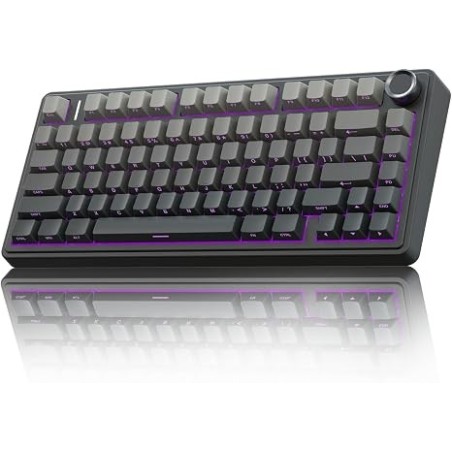 Aula F75 - Degradado de Negro, LEOBOG Reaper Switch | All In GT