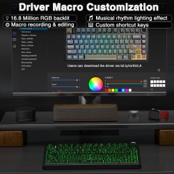 Aula F75 - Contorno de Negro, Star Vector Switch | All In GT